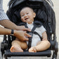 Mimosa City Traveller Travel System